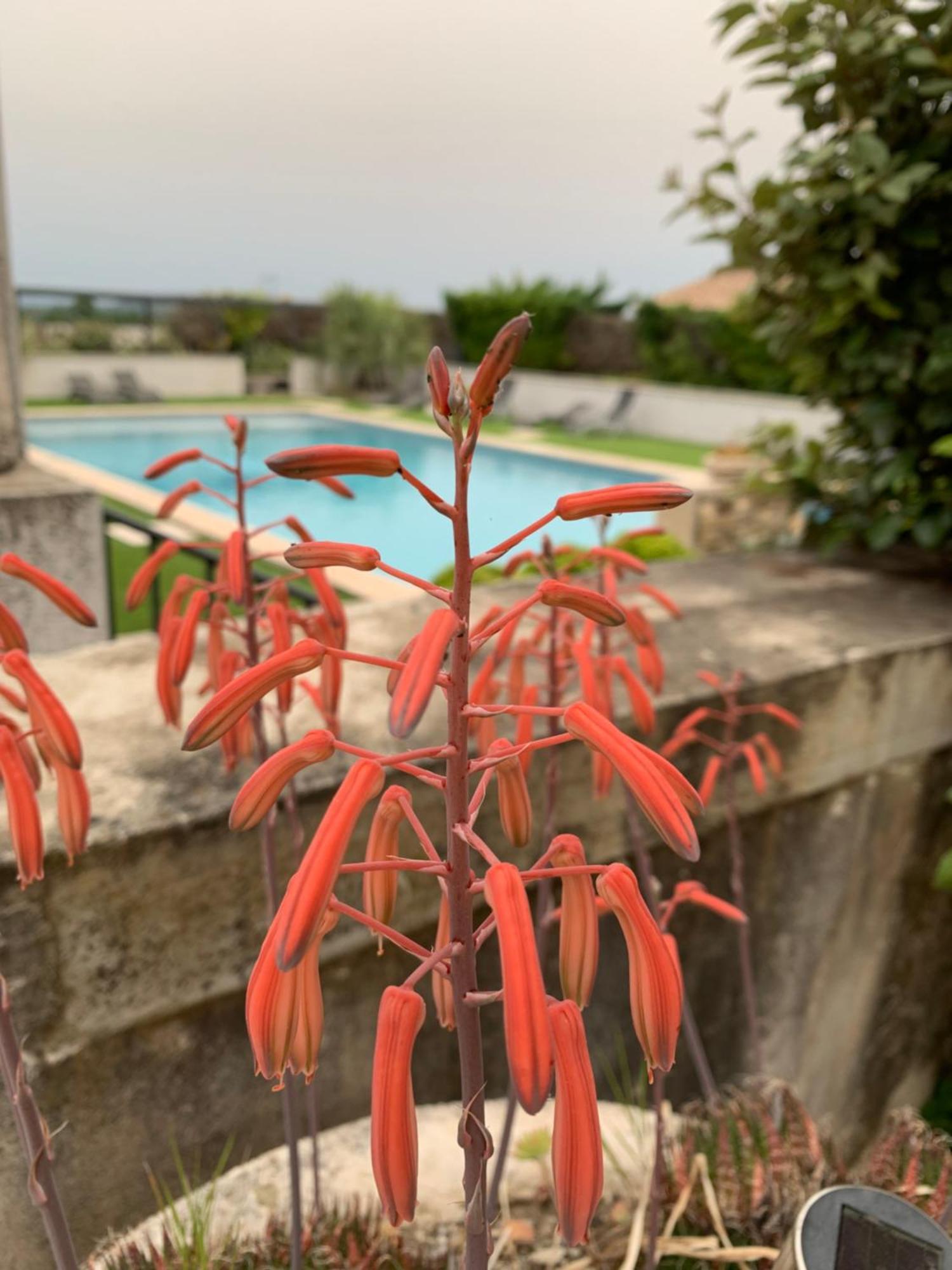 Bed & Breakfast Domaine Forvent